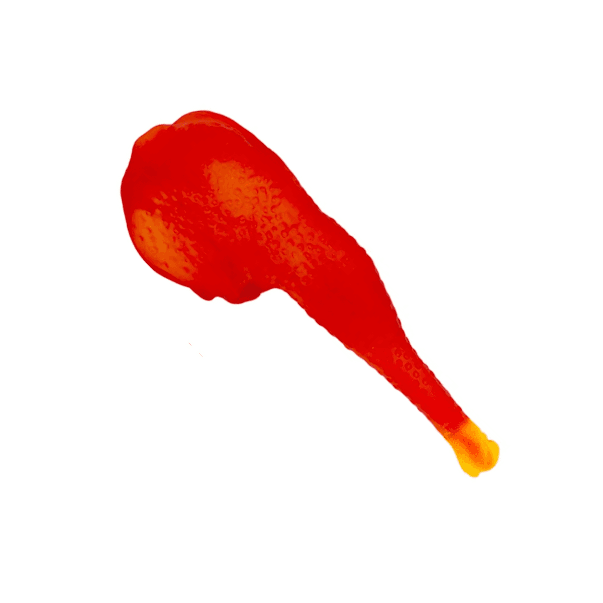 Juguete Mascota - Pata de Pollo