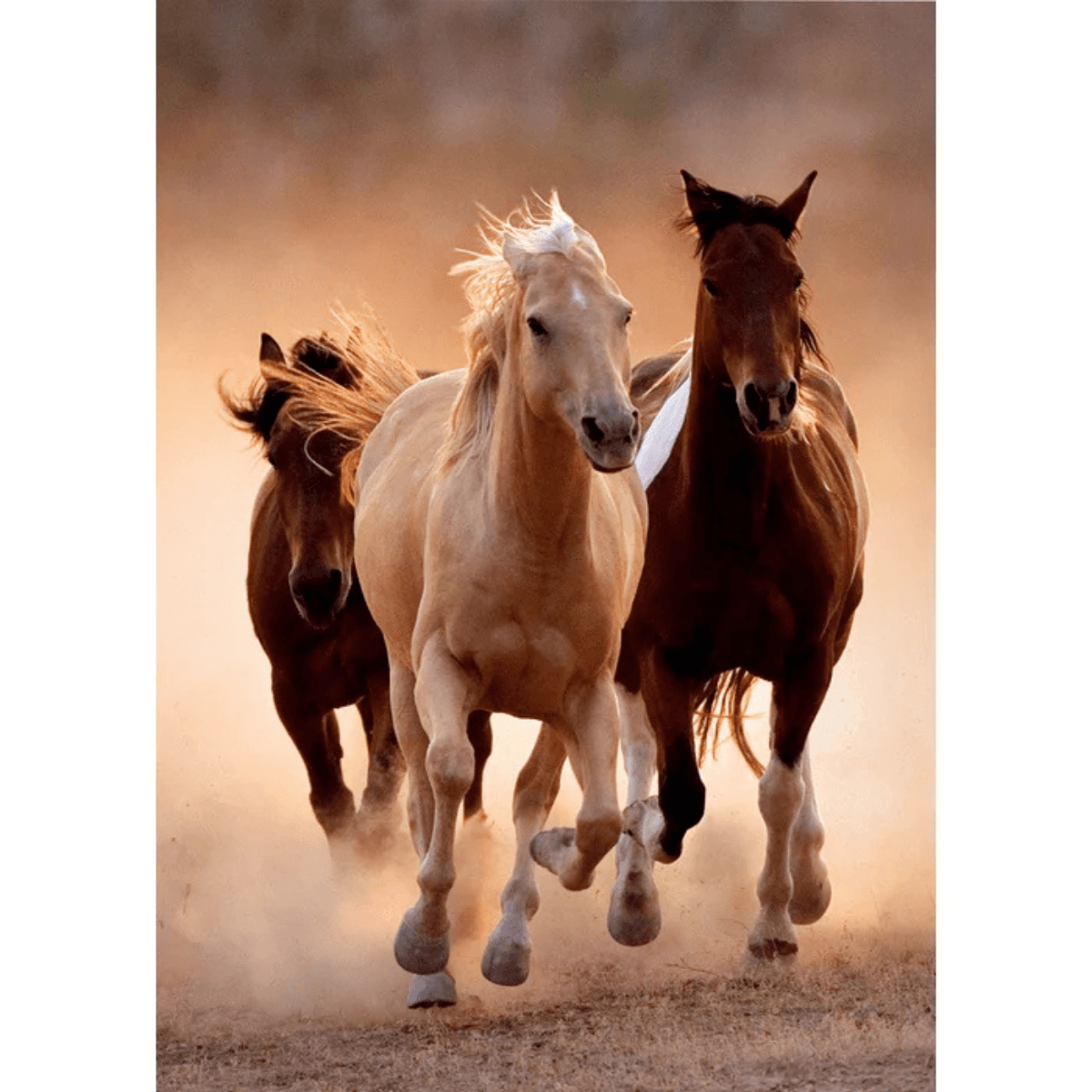Puzzle Clementoni 1000 piezas Caballos - Running Horses
