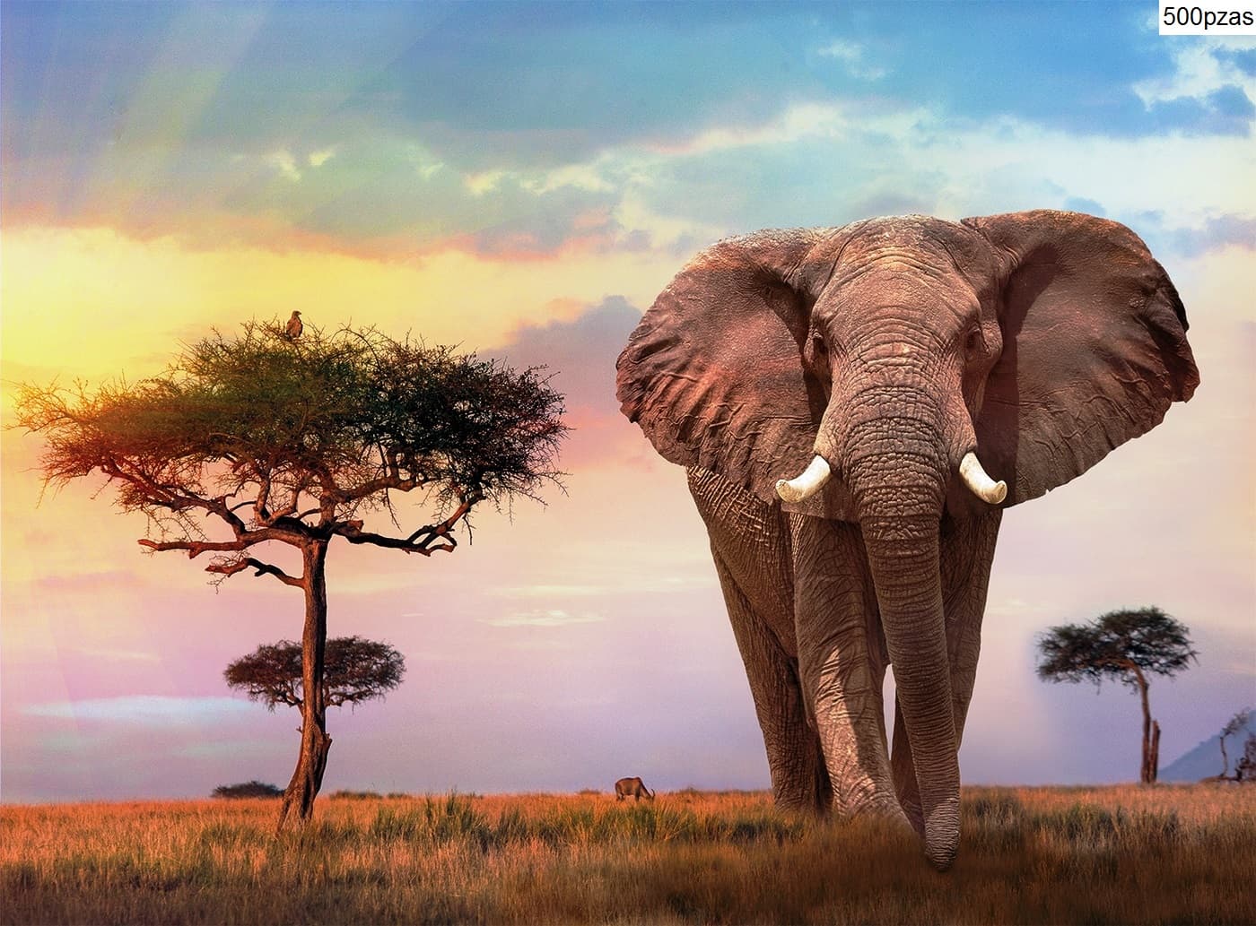 Puzzle Clementoni 500 piezas - Elefante Africa